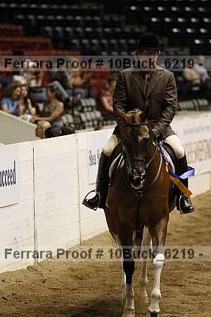 Proof 10buck_6219