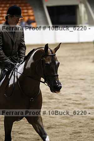 Proof 10buck_6220