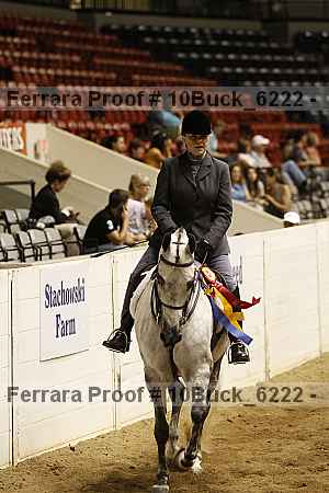 Proof 10buck_6222