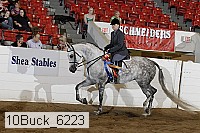 10buck_6223 proof