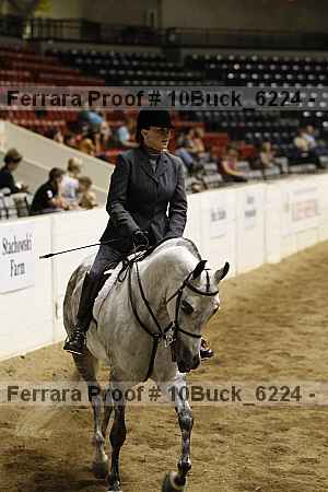Proof 10buck_6224
