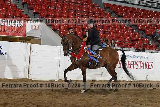 Proof 10buck_6228