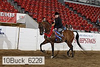 10buck_6228 proof