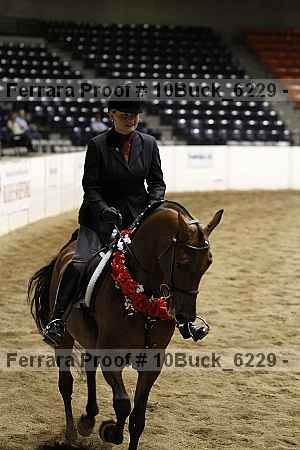 Proof 10buck_6229