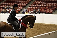 10buck_6230 proof
