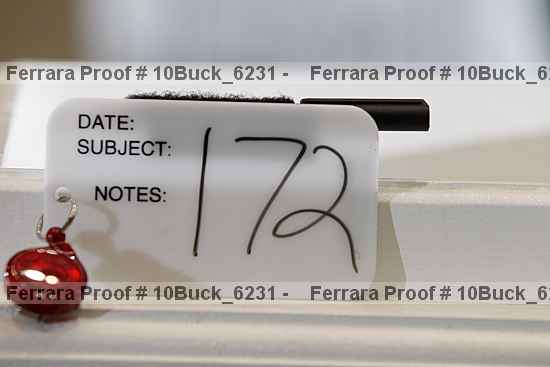Proof 10buck_6231