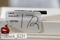 10buck_6231 proof