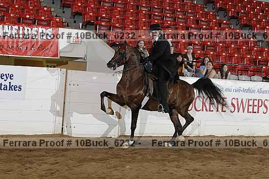Proof 10buck_6232