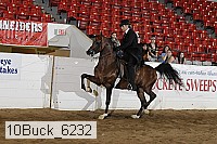 10buck_6232 proof
