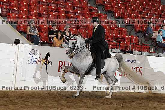 Proof 10buck_6233