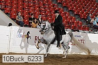 10buck_6233 proof