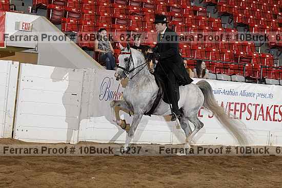 Proof 10buck_6237