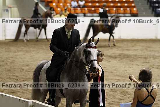 Proof 10buck_6239
