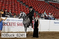 10buck_6241 proof