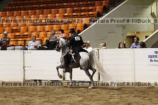 Proof 10buck_6242