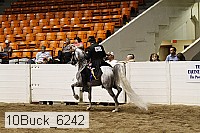 10buck_6242 proof