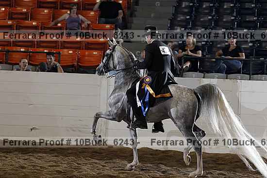 Proof 10buck_6243