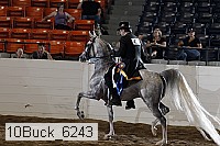 10buck_6243 proof