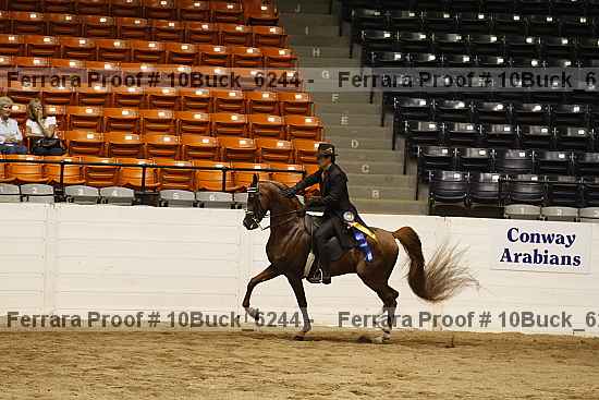 Proof 10buck_6244