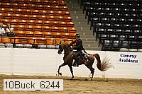 10buck_6244 proof