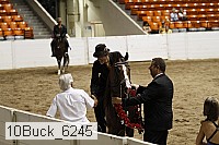 10buck_6245 proof