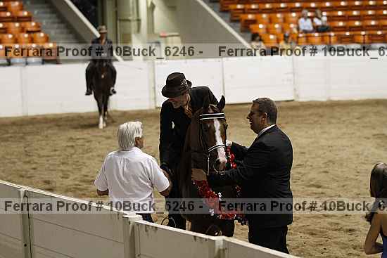 Proof 10buck_6246