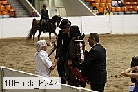 10buck_6247 proof