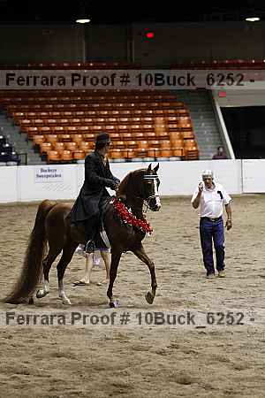 Proof 10buck_6252