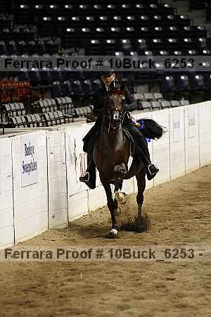 Proof 10buck_6253