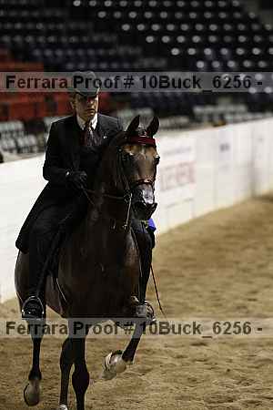 Proof 10buck_6256