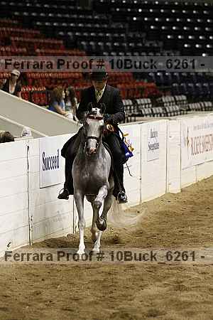 Proof 10buck_6261