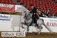 10buck_6262 proof