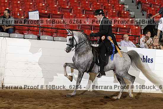 Proof 10buck_6264