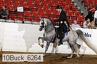 10buck_6264 proof