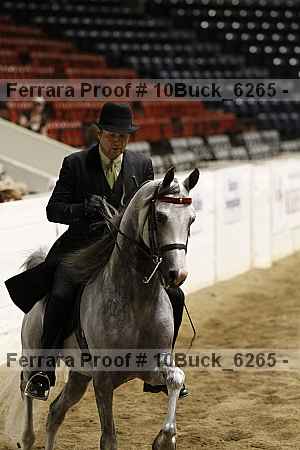 Proof 10buck_6265