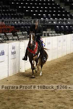 Proof 10buck_6266