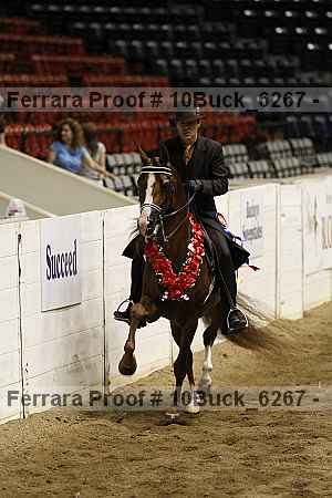 Proof 10buck_6267
