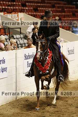 Proof 10buck_6268