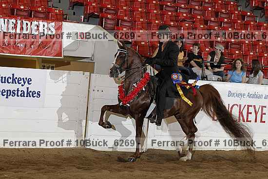 Proof 10buck_6269