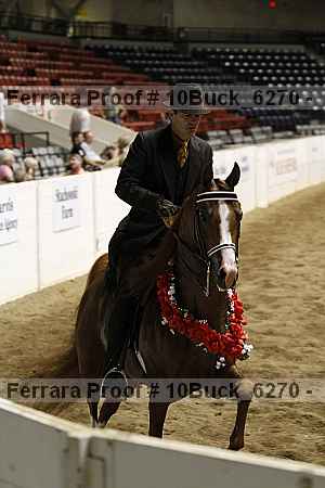 Proof 10buck_6270