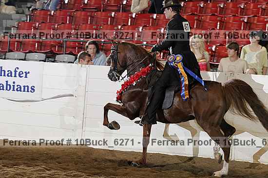 Proof 10buck_6271