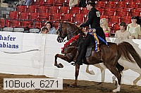 10buck_6271 proof
