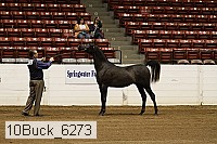 10buck_6273 proof