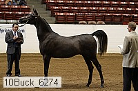 10buck_6274 proof
