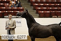 10buck_6277 proof