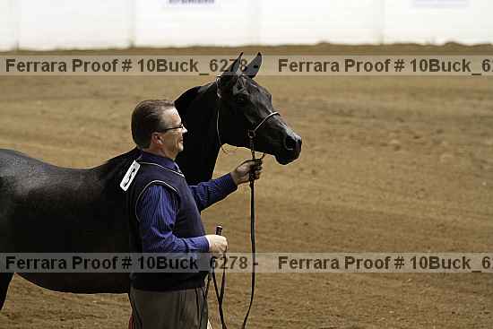 Proof 10buck_6278