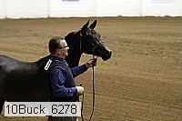 10buck_6278 proof