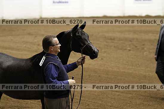 Proof 10buck_6279