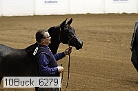 10buck_6279 proof