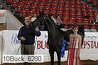 10buck_6280 proof